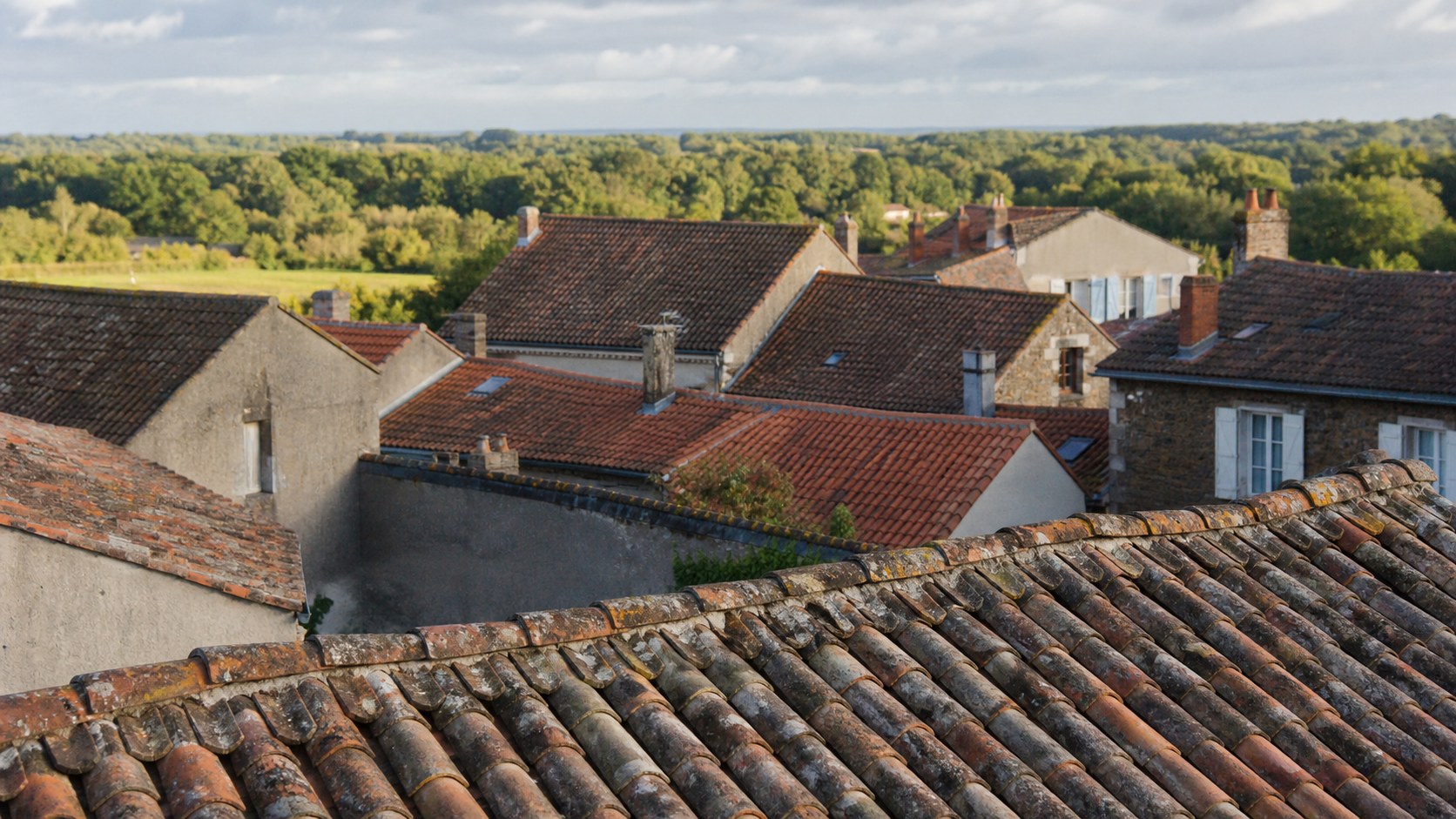 Paysage de toitures en terre cuite inspiré des bourgs de Charente-Maritime